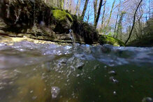 © WWF - Antoine Gogniat