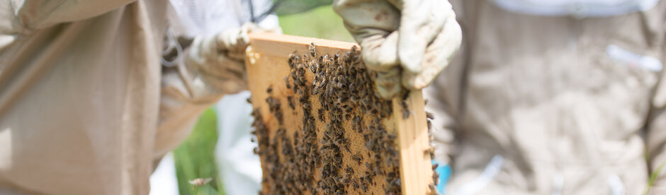 WWF Suisse / (C) Christian Bicca