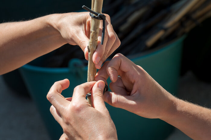 (c)Timo Ullman Photography