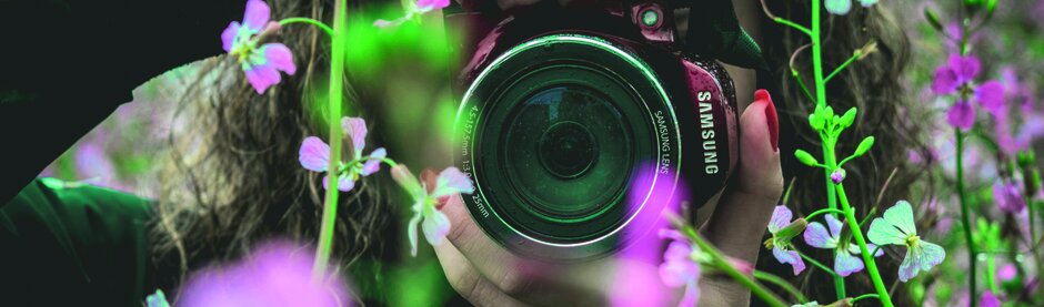 (c) Nicolas Ladino Silva