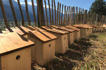 (C) Lara Grandgirard