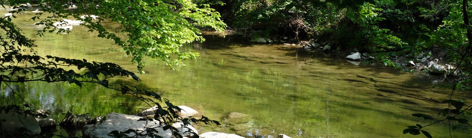 (c) WWF Suisse\Florian Haenggeli