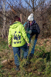 Connexions Naturelles @ WWF Fribourg, Michael Risso