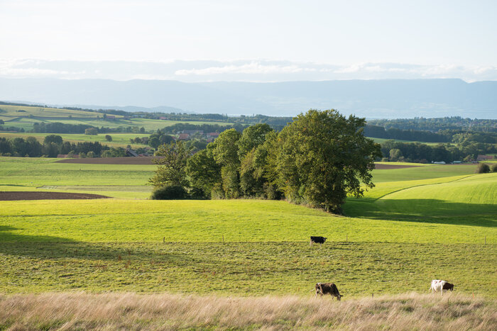 (C) WWF Suisse / Christian Bicca