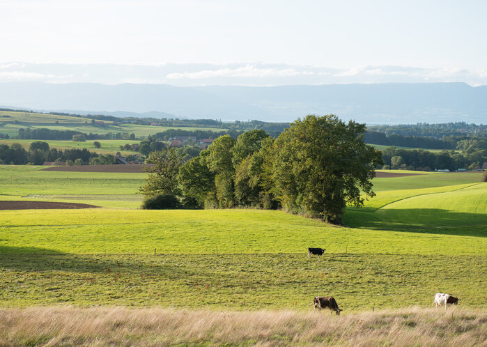 (C) WWF Suisse / Christian Bicca