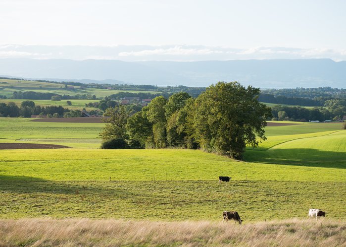 (C) WWF Suisse / Christian Bicca